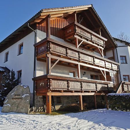 Haus Haidweg - Ferienwohnungen In Haidmuehle Im Dreilaendereck De-Cz-At Εξωτερικό φωτογραφία