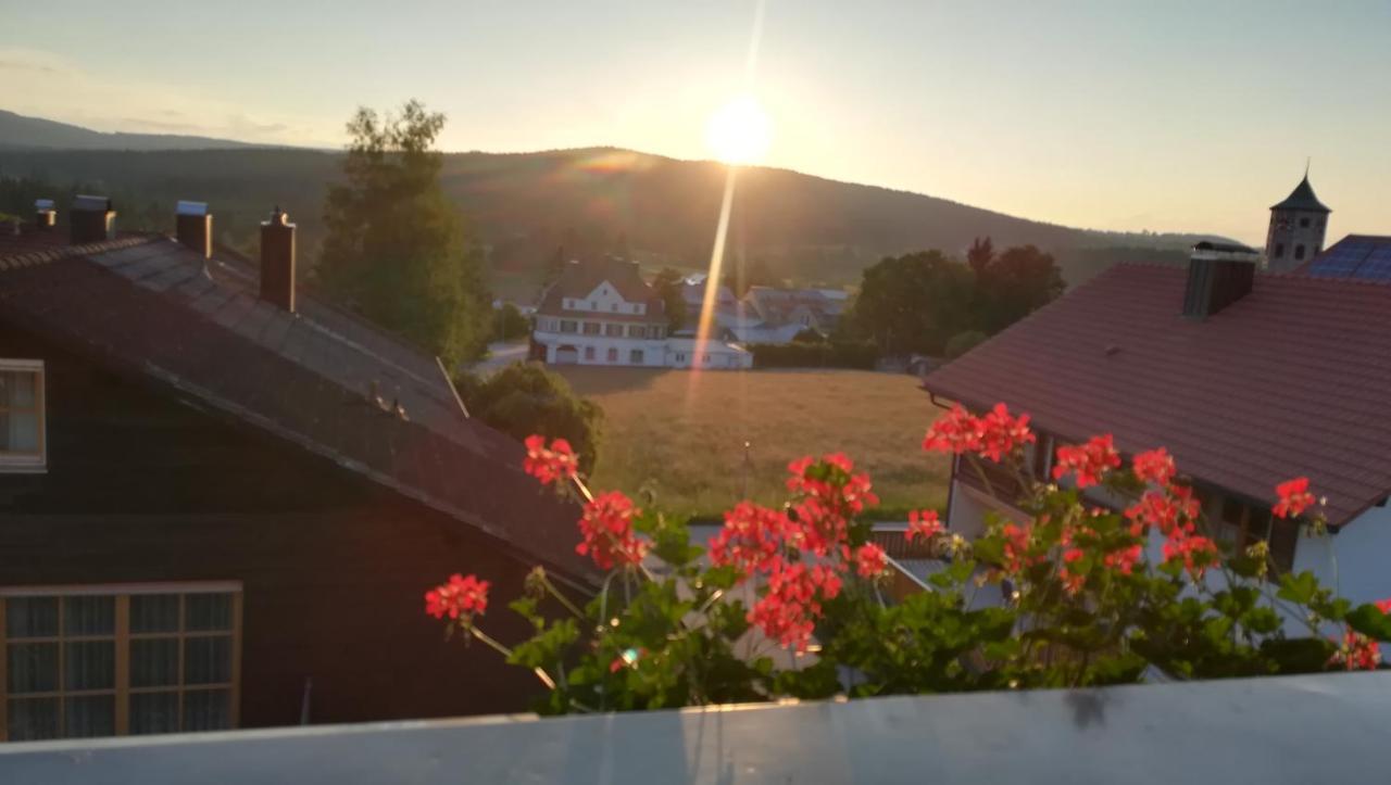 Haus Haidweg - Ferienwohnungen In Haidmuehle Im Dreilaendereck De-Cz-At Εξωτερικό φωτογραφία