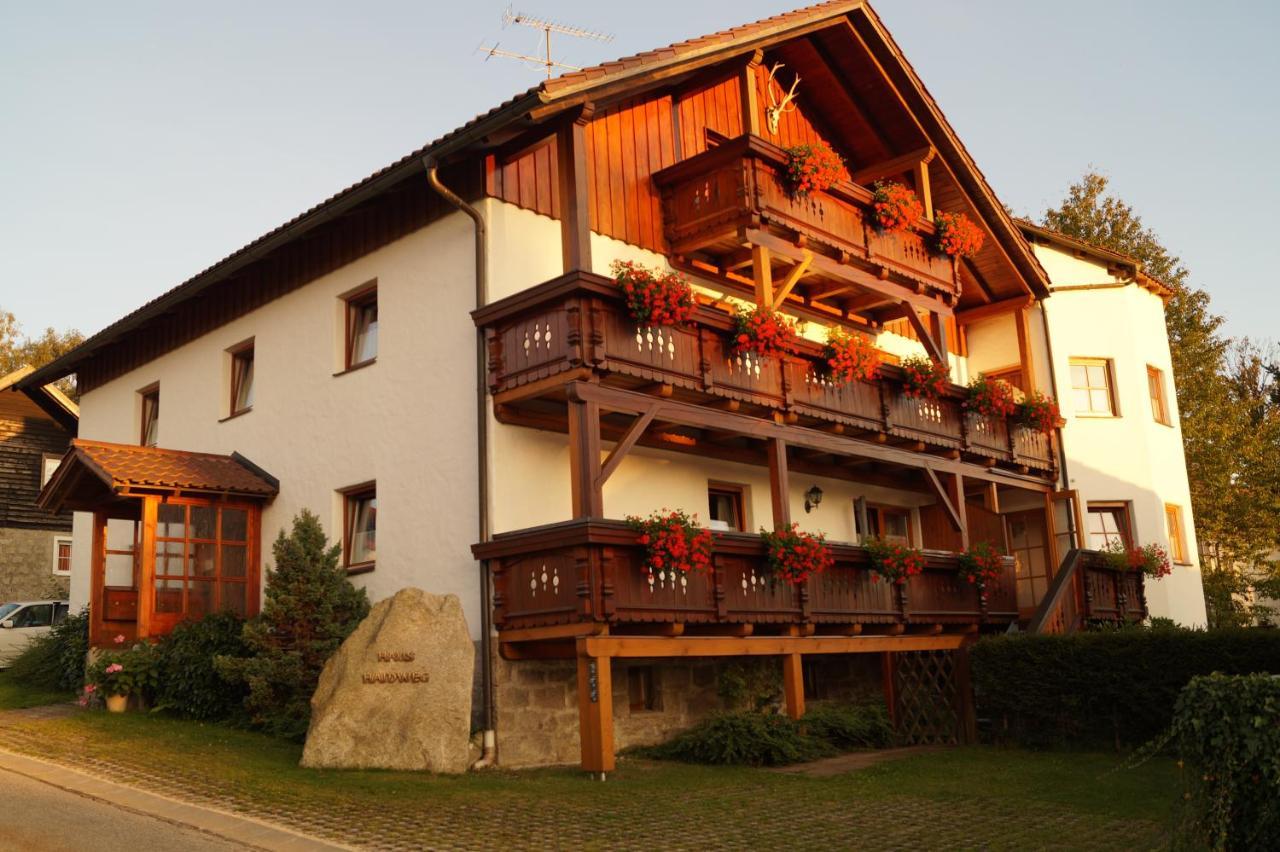 Haus Haidweg - Ferienwohnungen In Haidmuehle Im Dreilaendereck De-Cz-At Εξωτερικό φωτογραφία